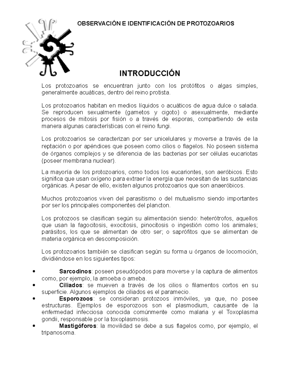 ¿En qué se diferencian los protozoos de las bacterias?