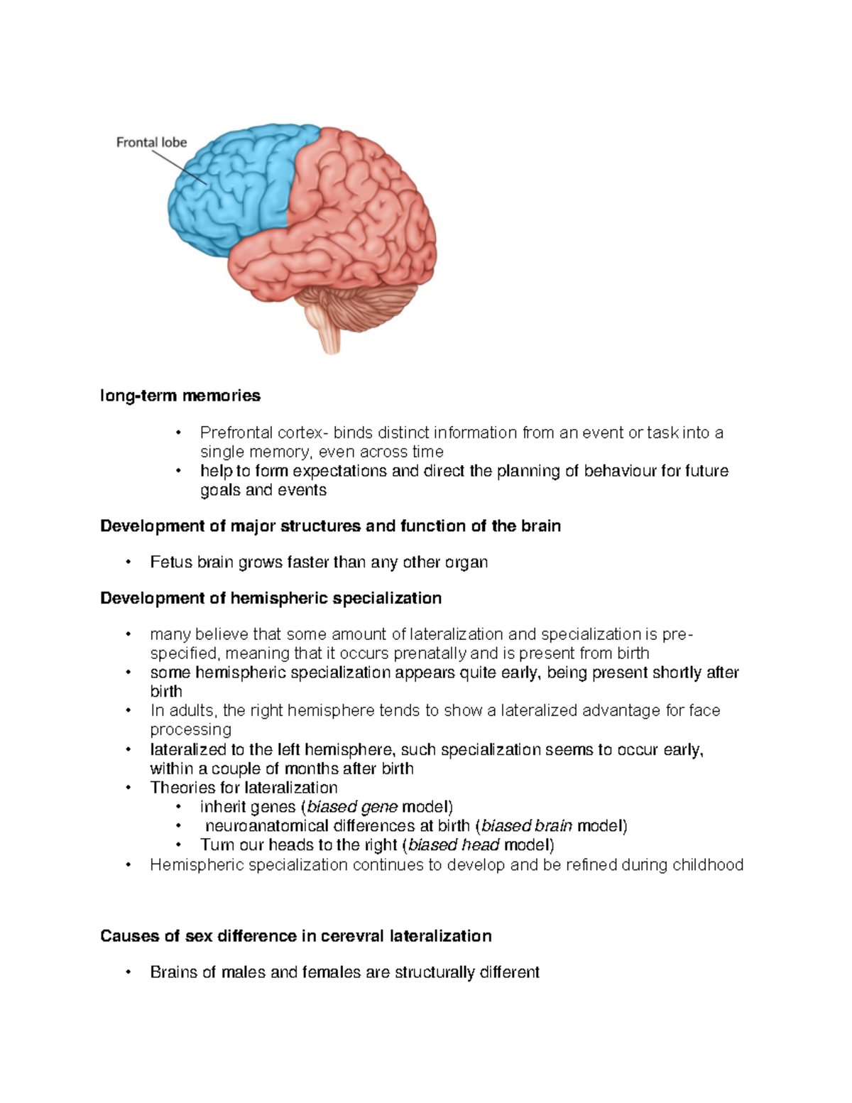 Lectue Notes - Major Structures and Function - long-term memories ...