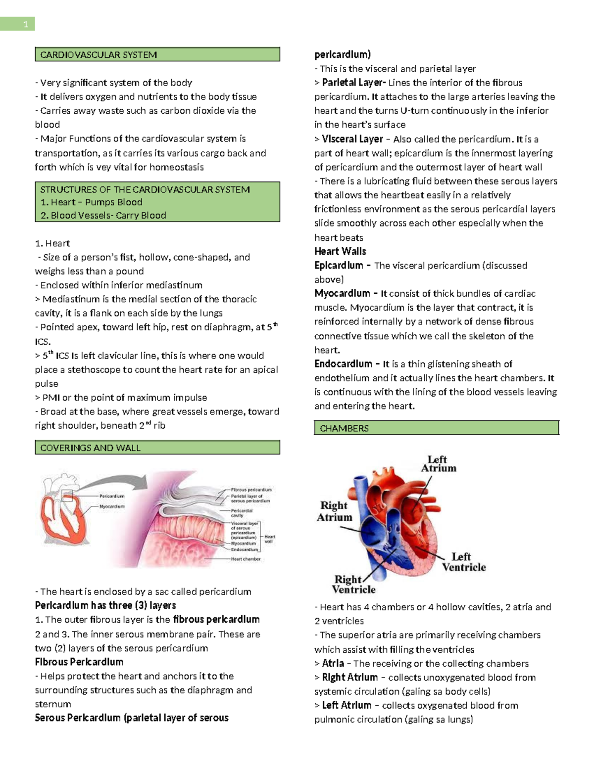 Cardiovascular System Notes - CARDIOVASCULAR SYSTEM Very significant ...