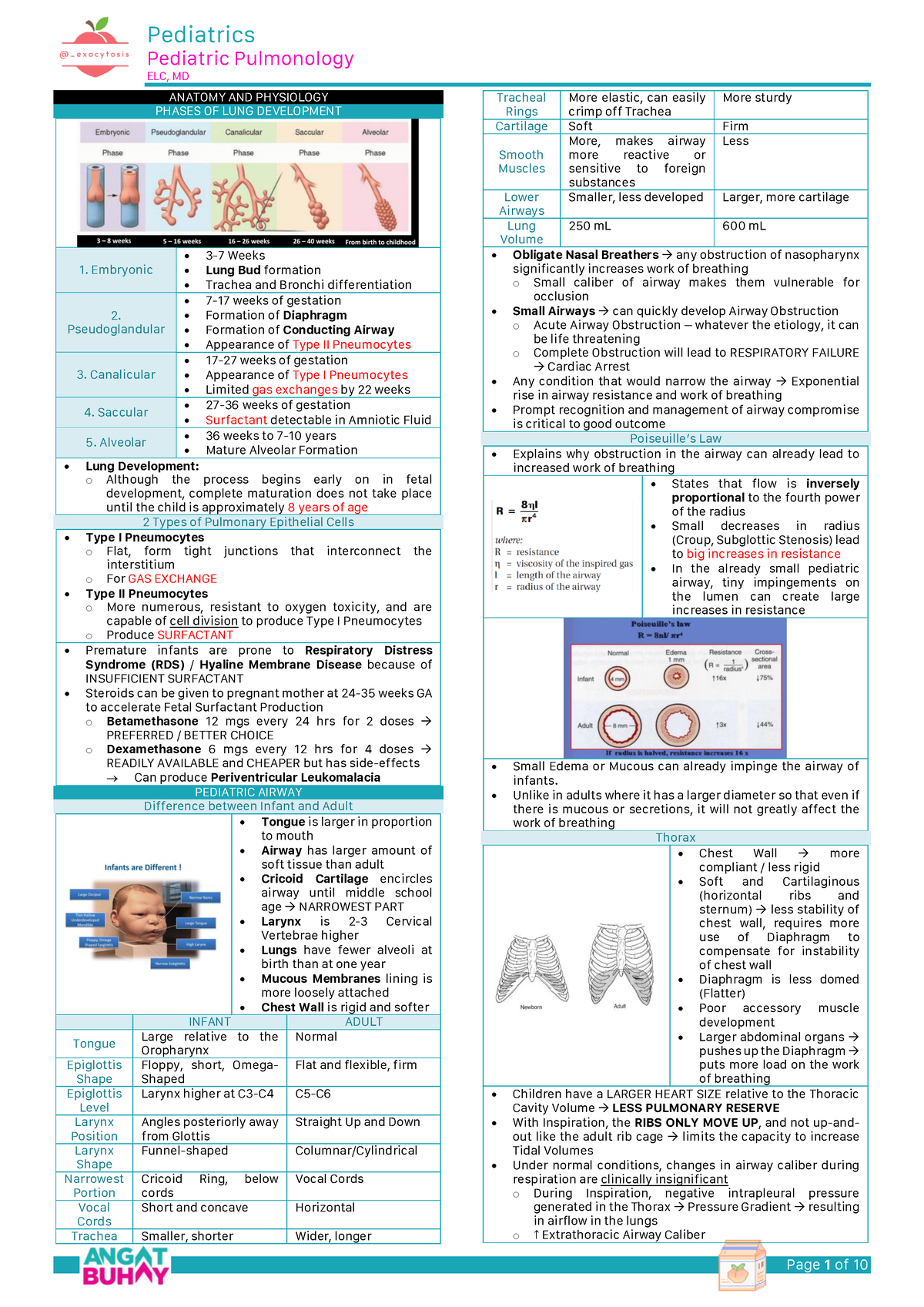 Pediatric Pulmonology - Pediatric Pulmonology ELC, MD ANATOMY AND ...