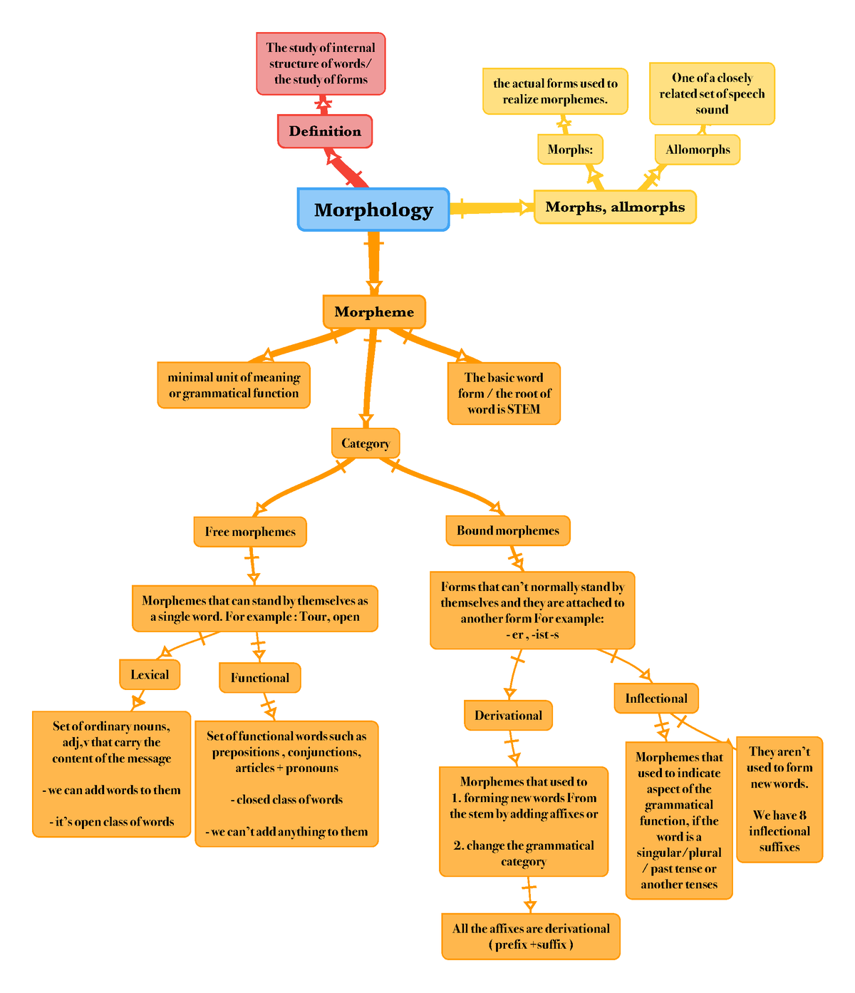 Morphology IL - Mind Map - The Study Of Language - Morphology Definition The Study Of Internal ...