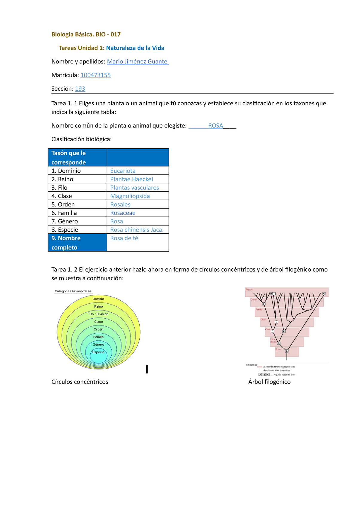 Tarea 10 100473155 Primera Práctica De Biología Biología Básica