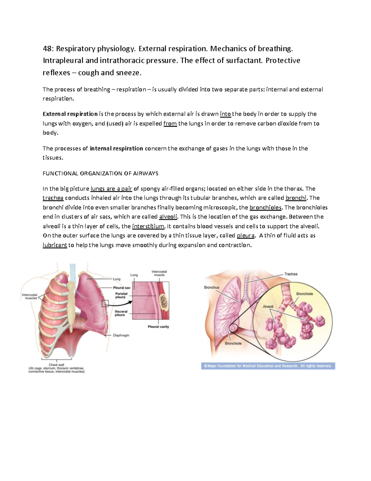 48.Resipiratory Physiology - 48: Respiratory physiology. External ...