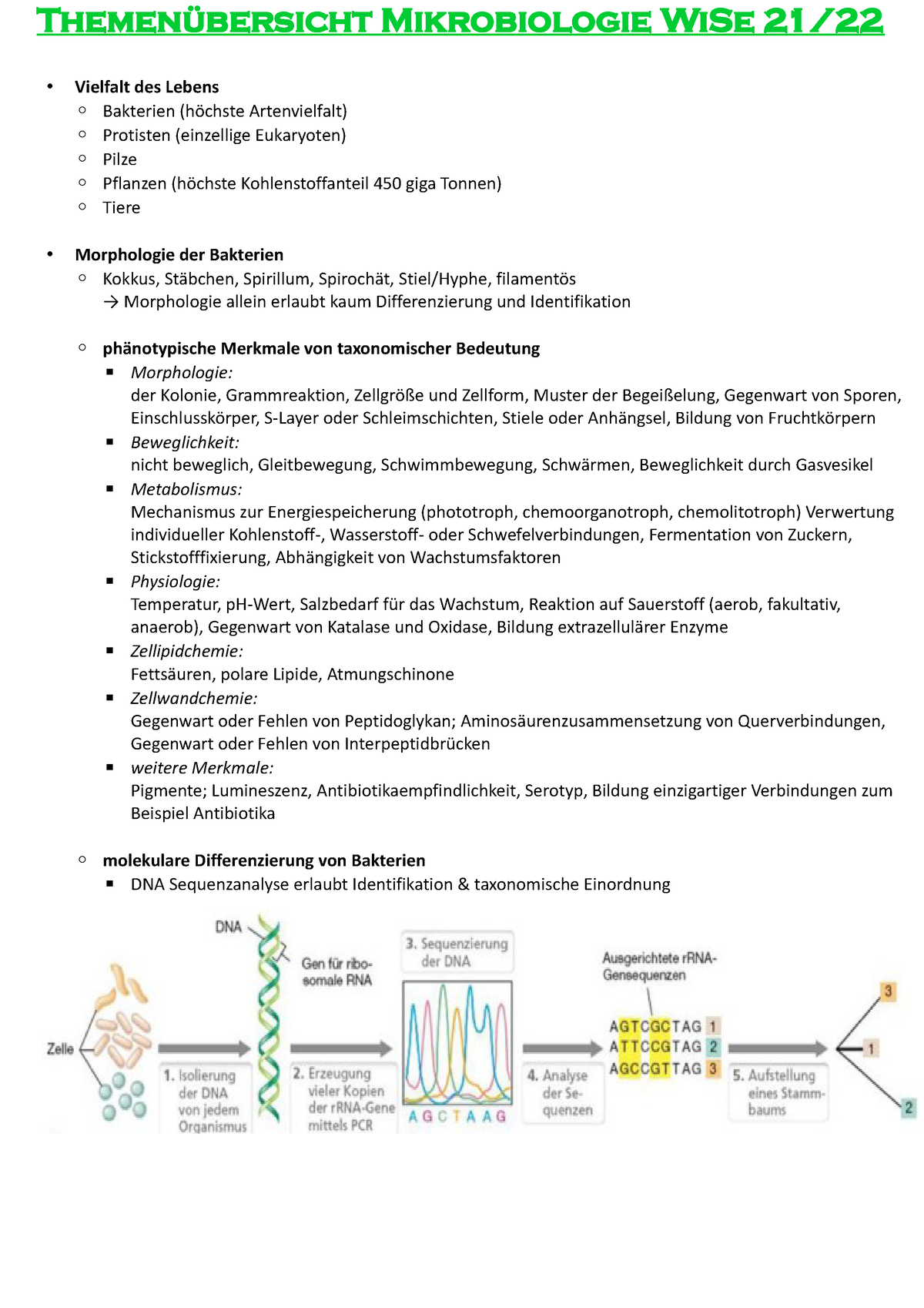 uni bonn dissertation