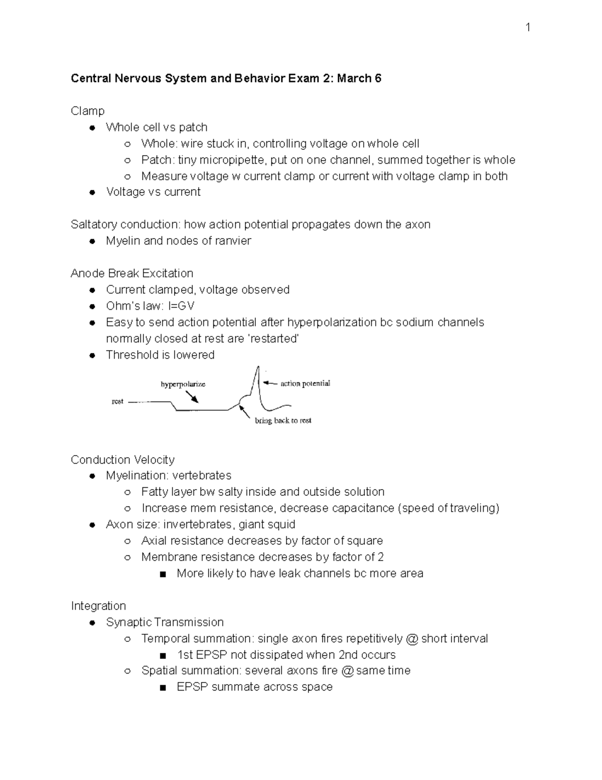 Copy of Exam 2 Study Guide - Central Nervous System and Behavior Exam 2 ...