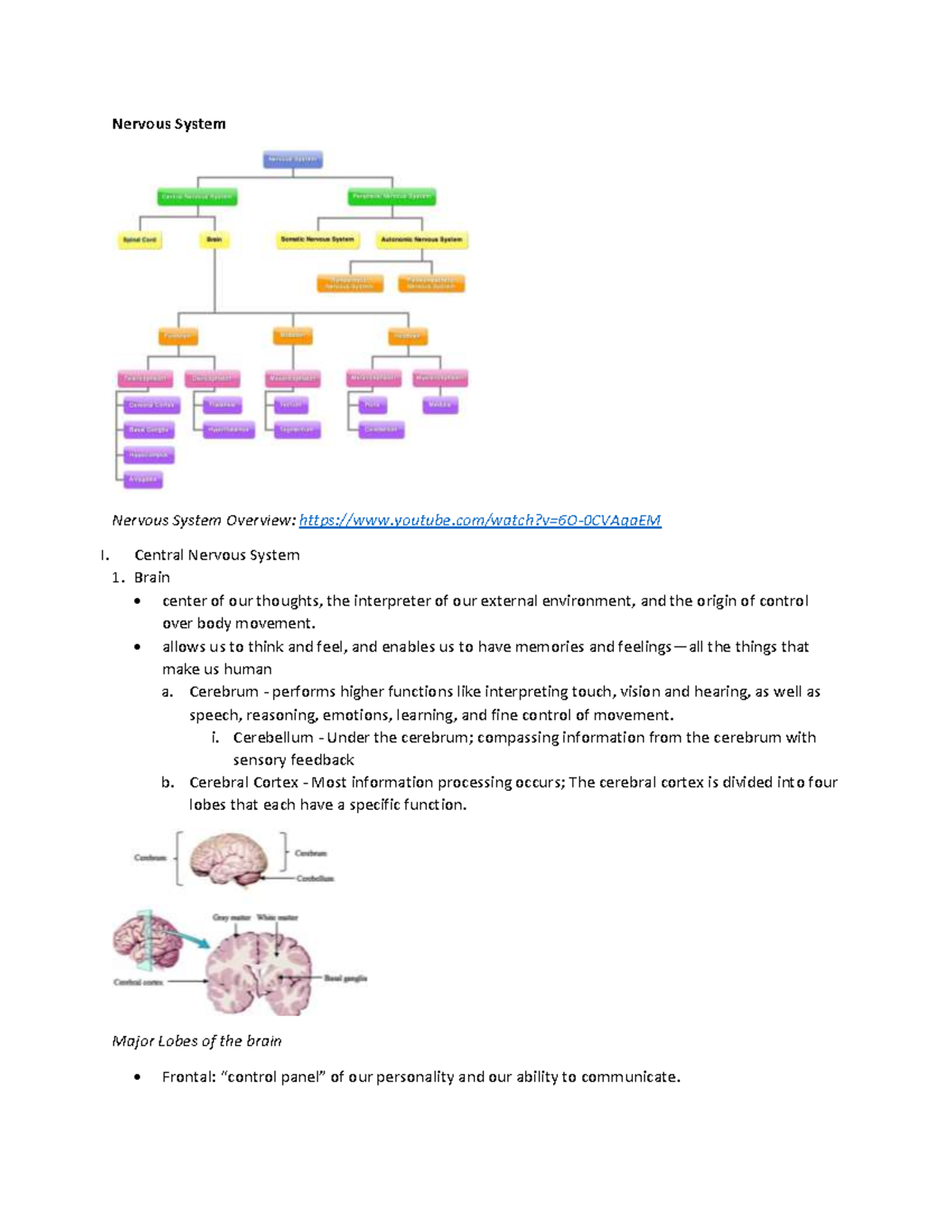 Nervous System Outline Psych 3A Group 5 - Nervous System Nervous System ...