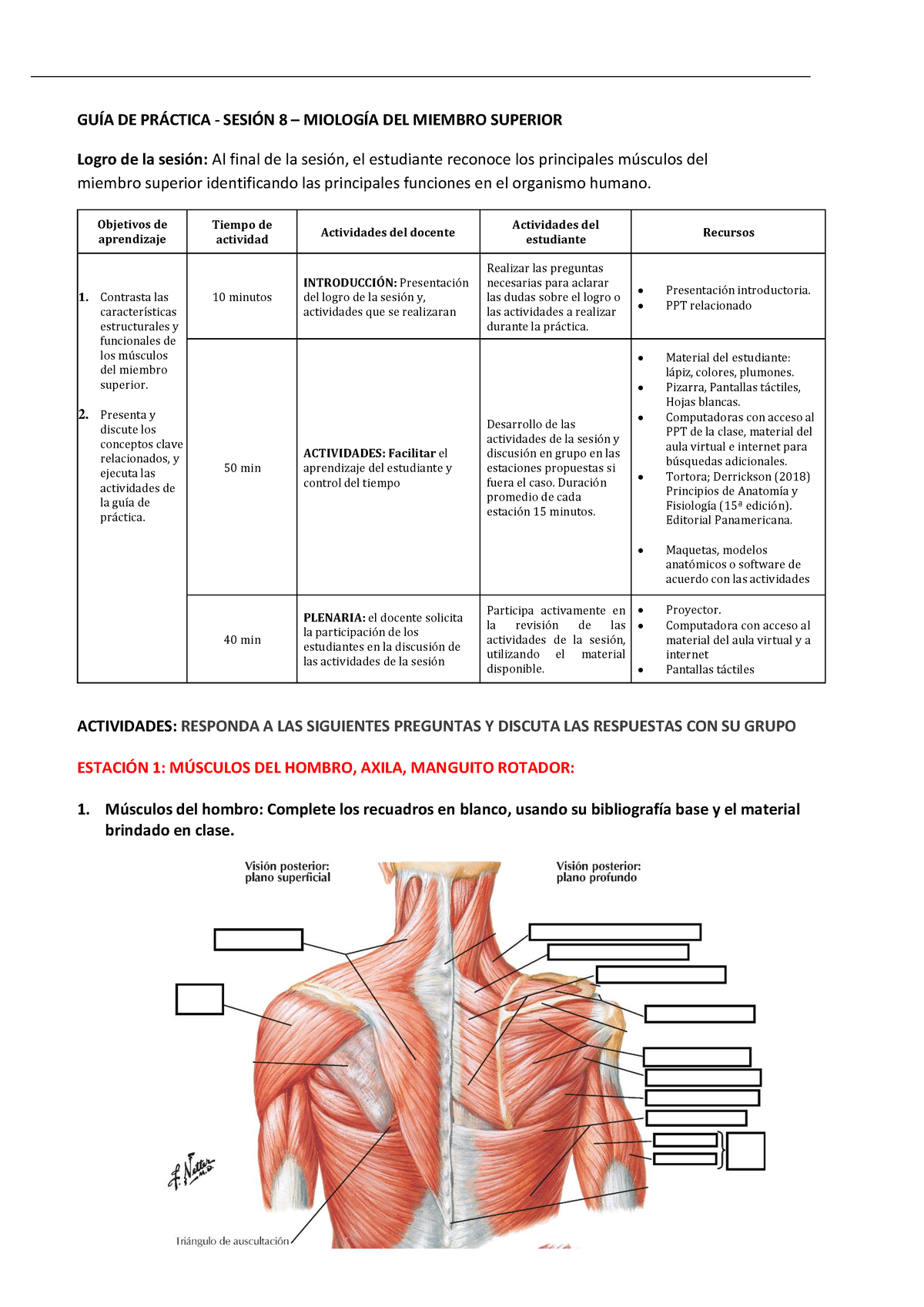 GUÍA DE PRÁ Ctica Clase 8 Musculos Miembro Superior - GUÕA DE PR¡CTICA ...