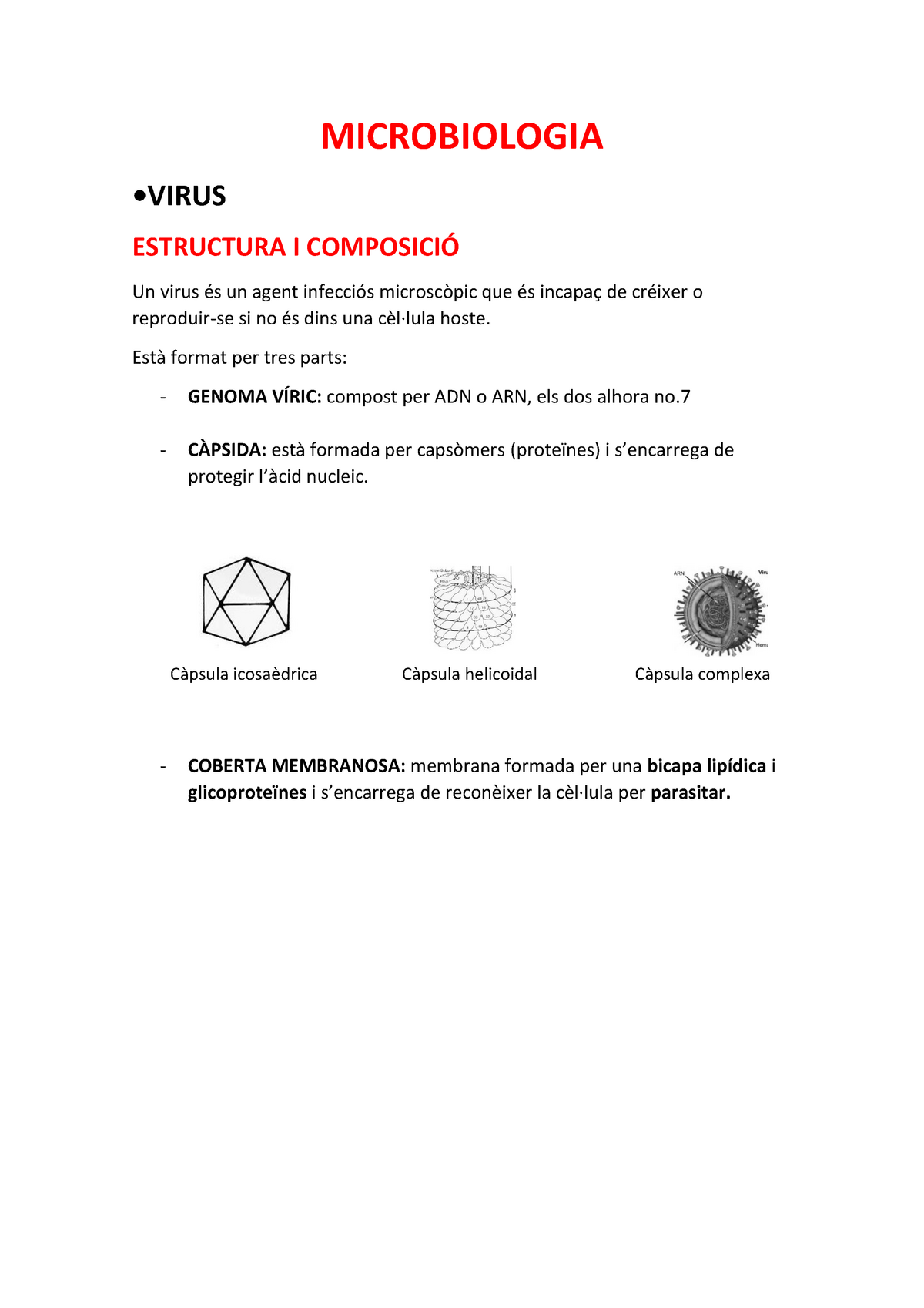 Microbiologia - Warning: TT: Undefined Function: 32 Warning: TT ...