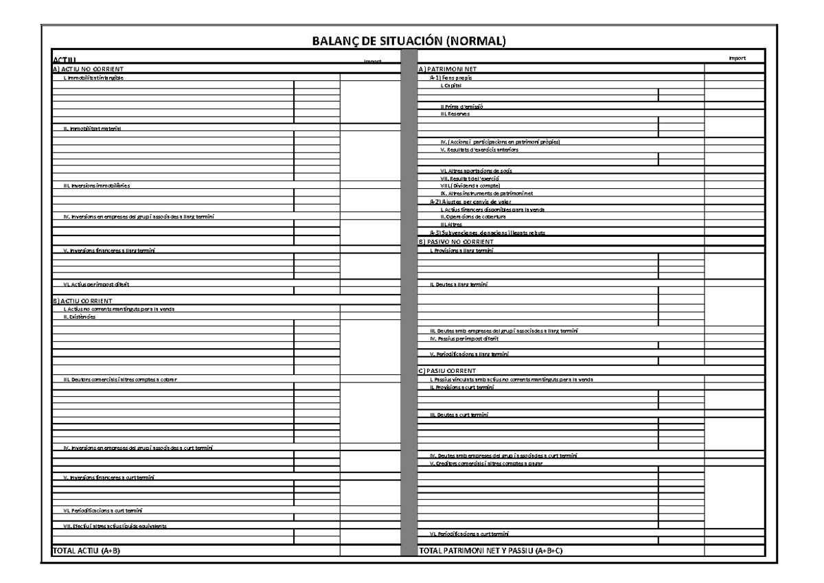 Cat Plantilles Comptes Anuals - sense desglos - BALANÇ DE SITUACIÓN ...