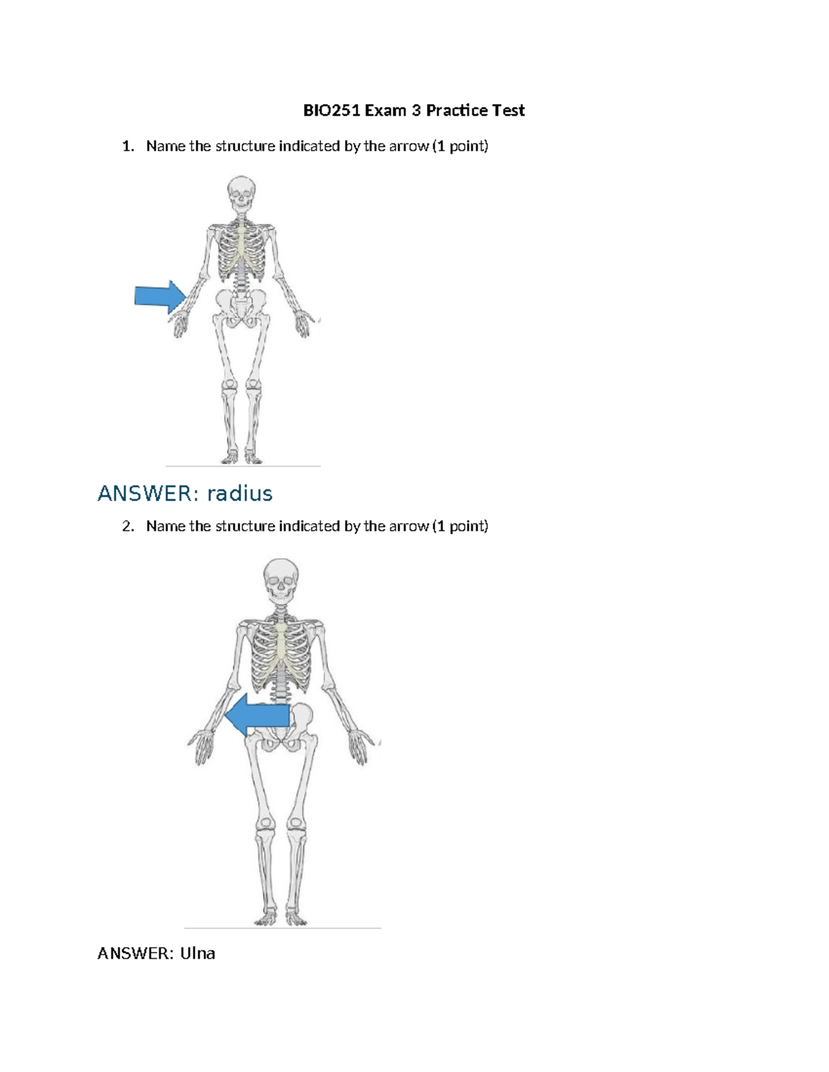 BIO251 Exam 3 Practice Test BIO251 Exam 3 Practice Test Name the