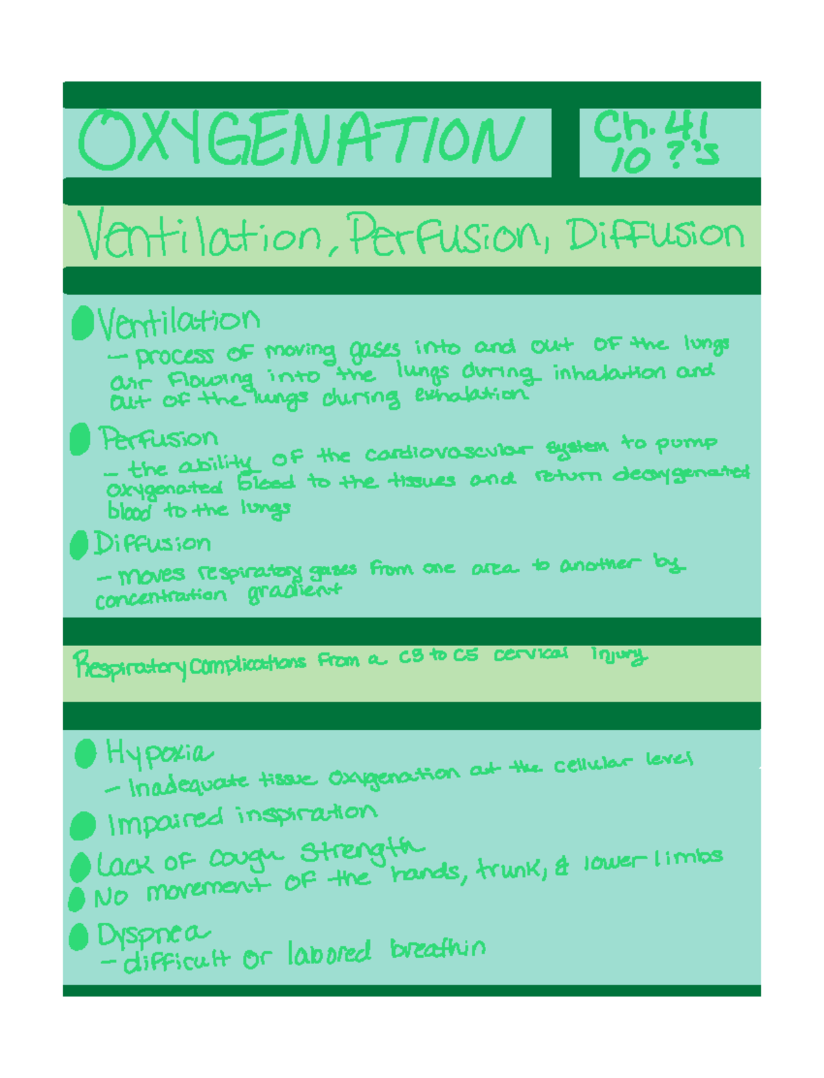 Oxygenation Chapter 41 Potter And Perry - OXYGENATION Ch 41 10 S Ve N T ...