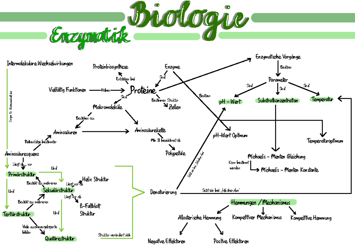 Enzymatik 3 Wie Enzyme Funktionieren Hemmungen Und Verbindungen Zu