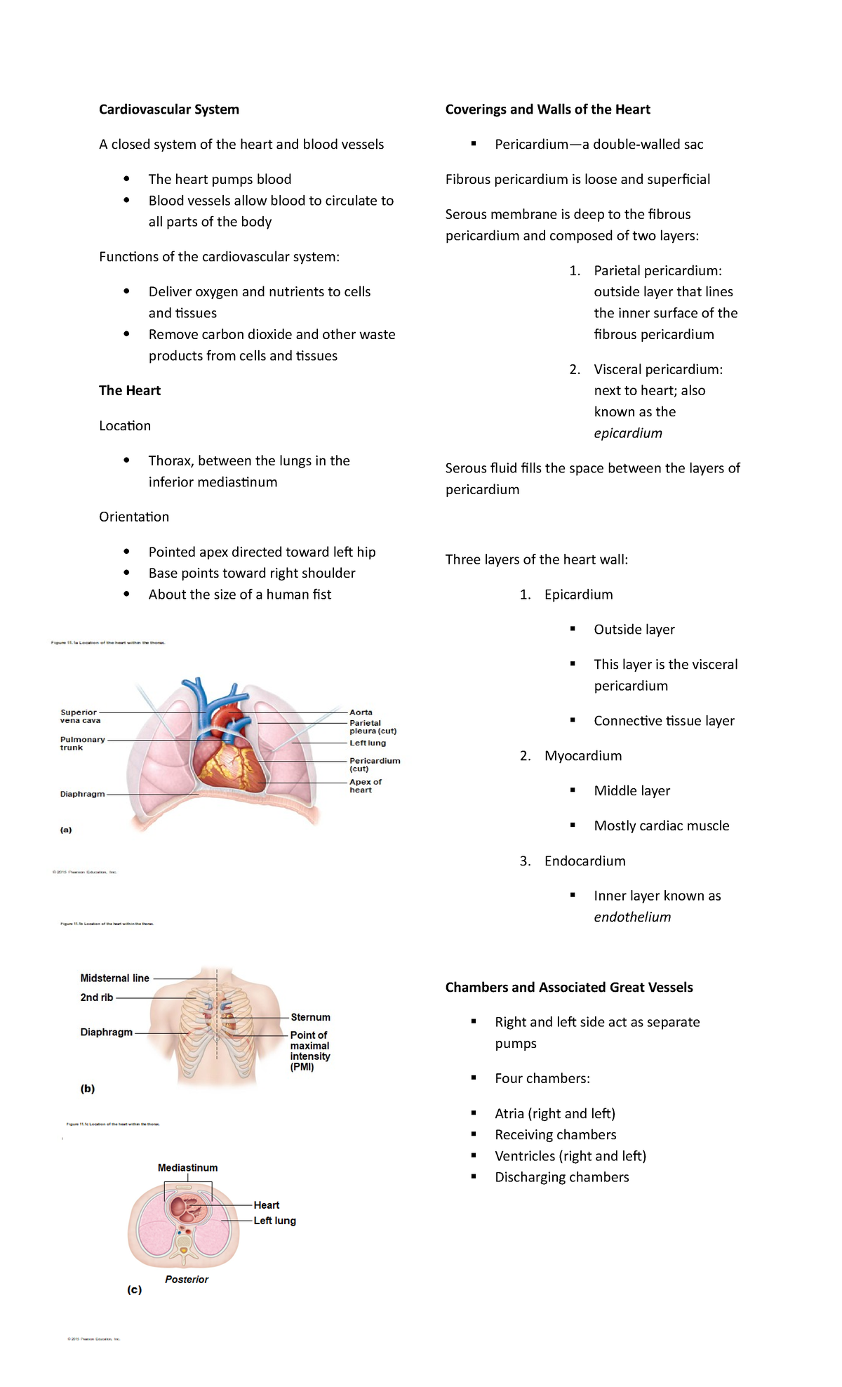 Cardiovascular System - Theoretical Foundations of Nursing - Studocu