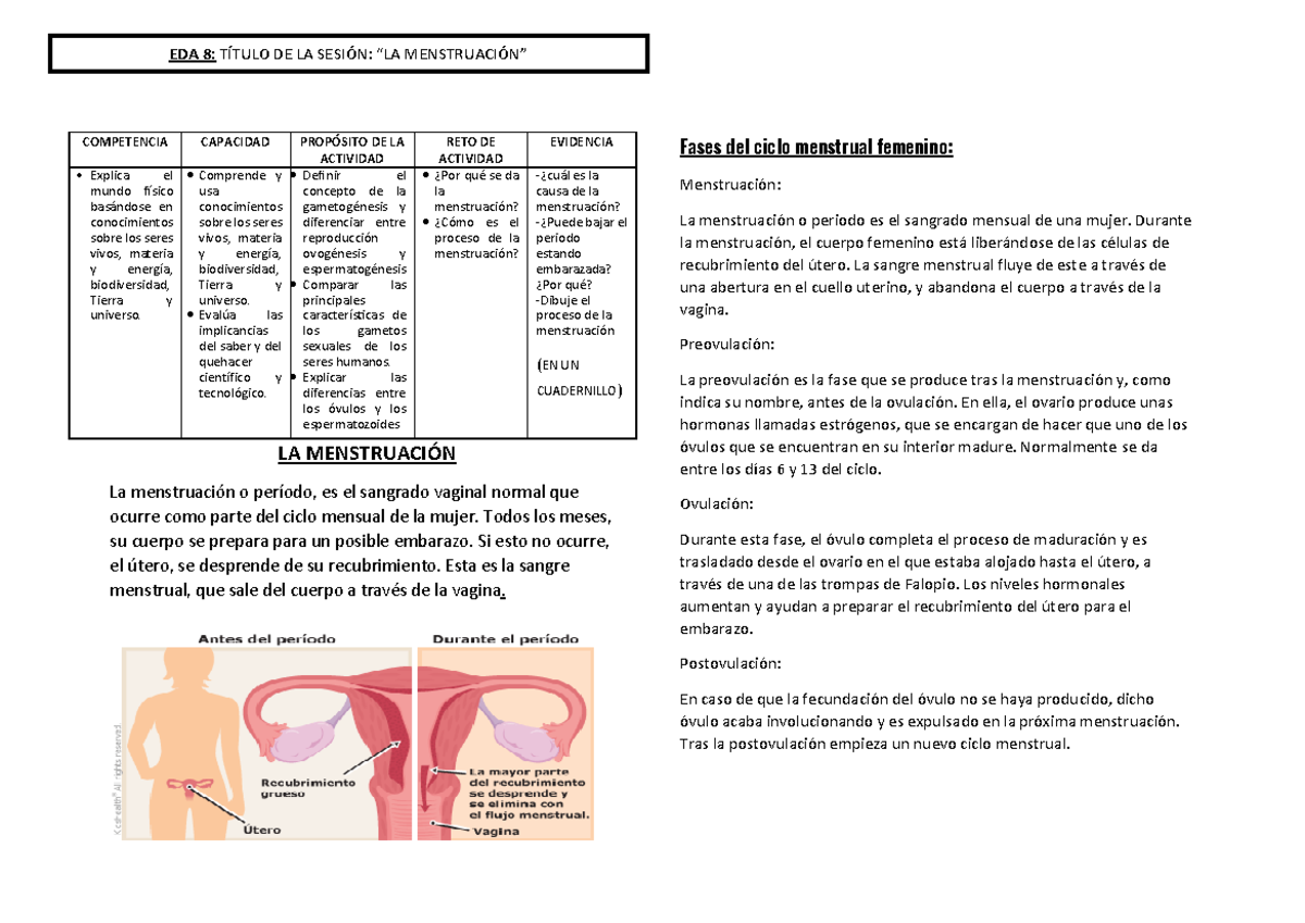 LA Menstruación D - LA MENSTRUACIÓN La menstruación o período, es el ...