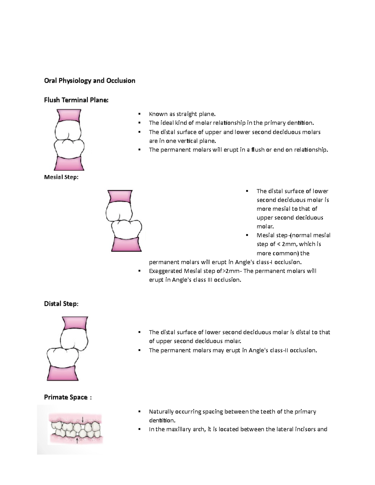 oral-physio-2-notes-oral-physiology-and-occlusion-flush-terminal