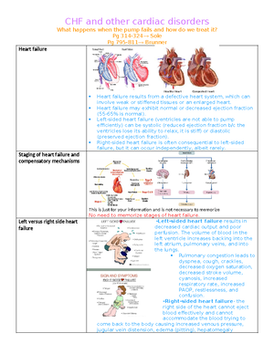 Code Blue Simulation Assignment 2 - SKINNY Reasoning Part I ...