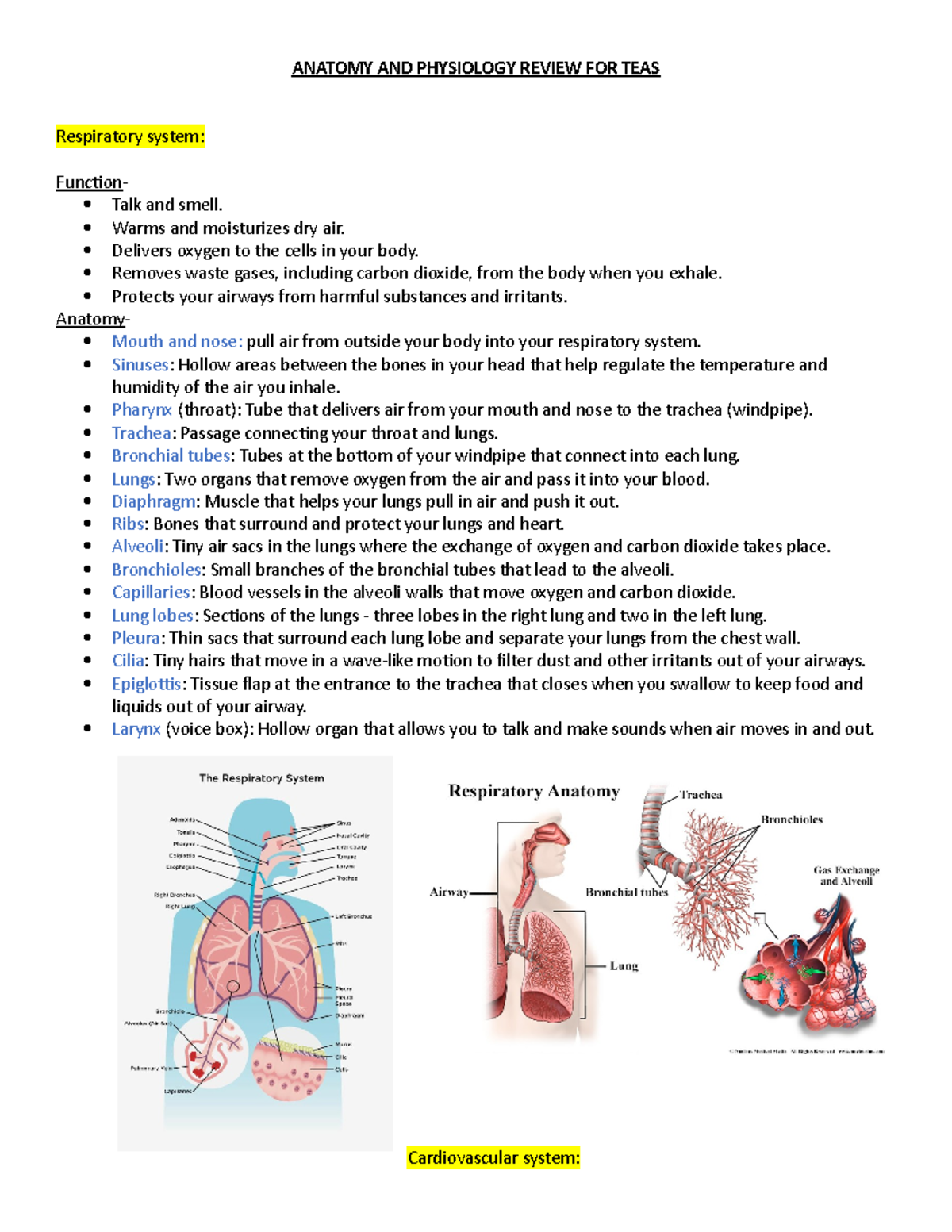 Anatomy AND Physiology Review FOR TEAS - ANATOMY AND PHYSIOLOGY REVIEW ...