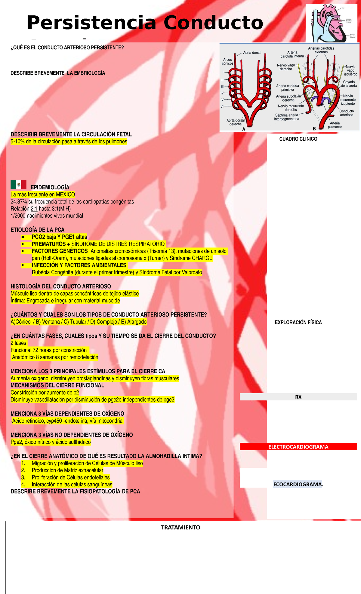 Guia Persistencia Conducto Arterioso Studocu