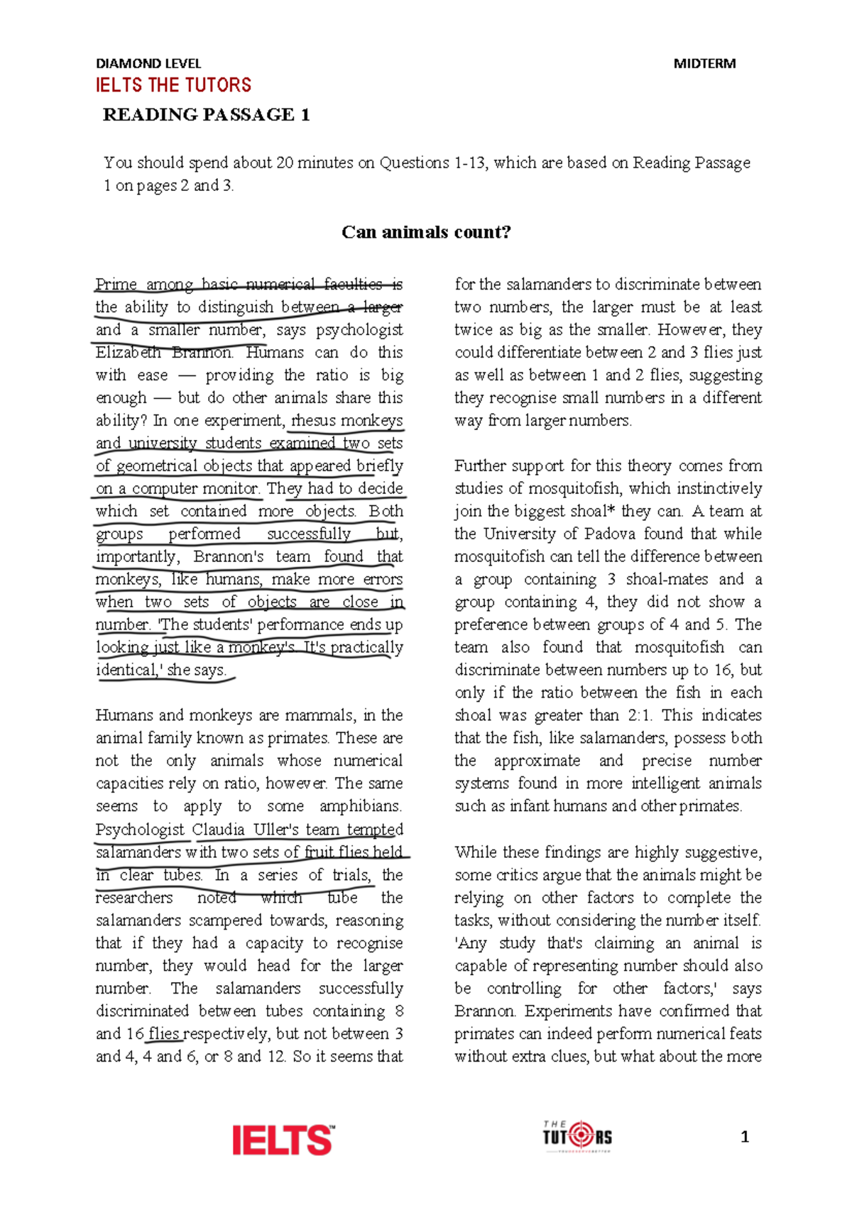 Reading TEST - IELTS THE TUTORS READING PASSAGE 1 You should spend ...