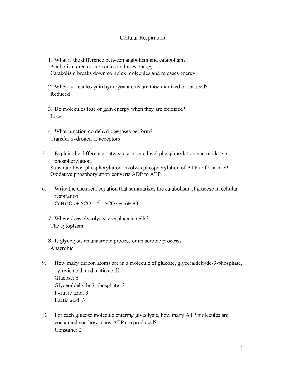 Ch 9 BIO 1171 - assignment - Cellular Respiration What is the ...