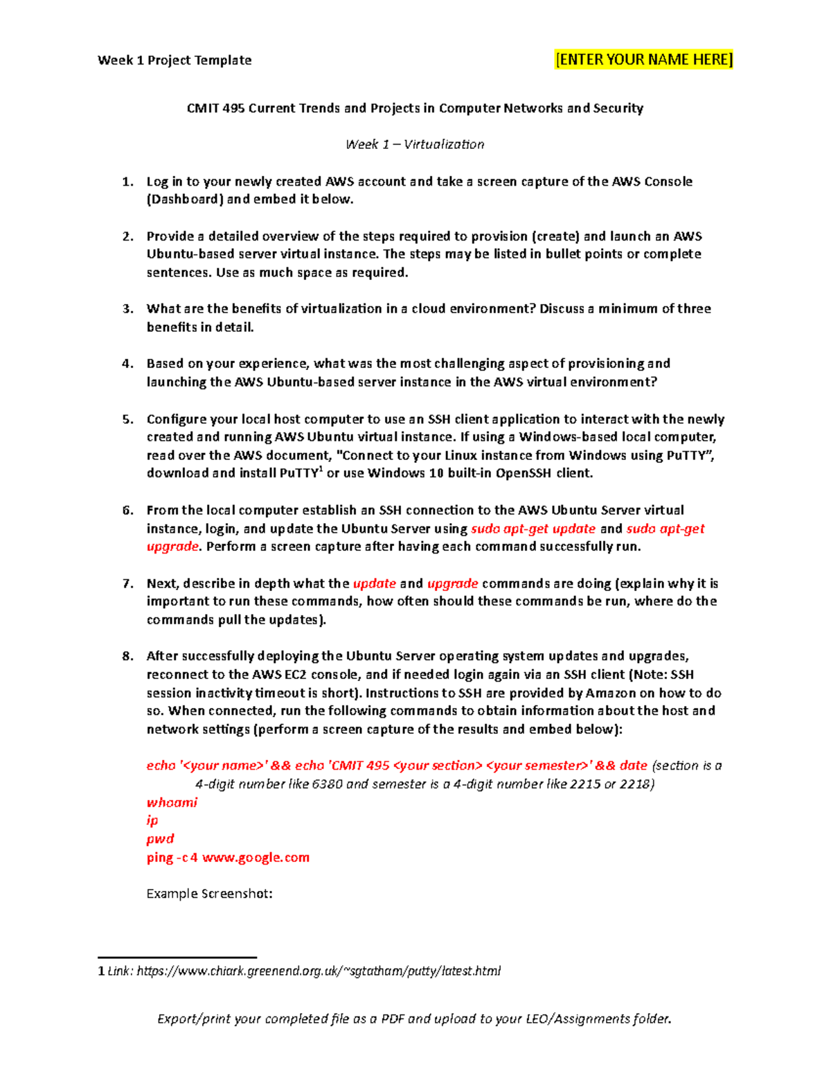 Virtualization Assignment Template 123 - Week 1 Project Template [ENTER ...