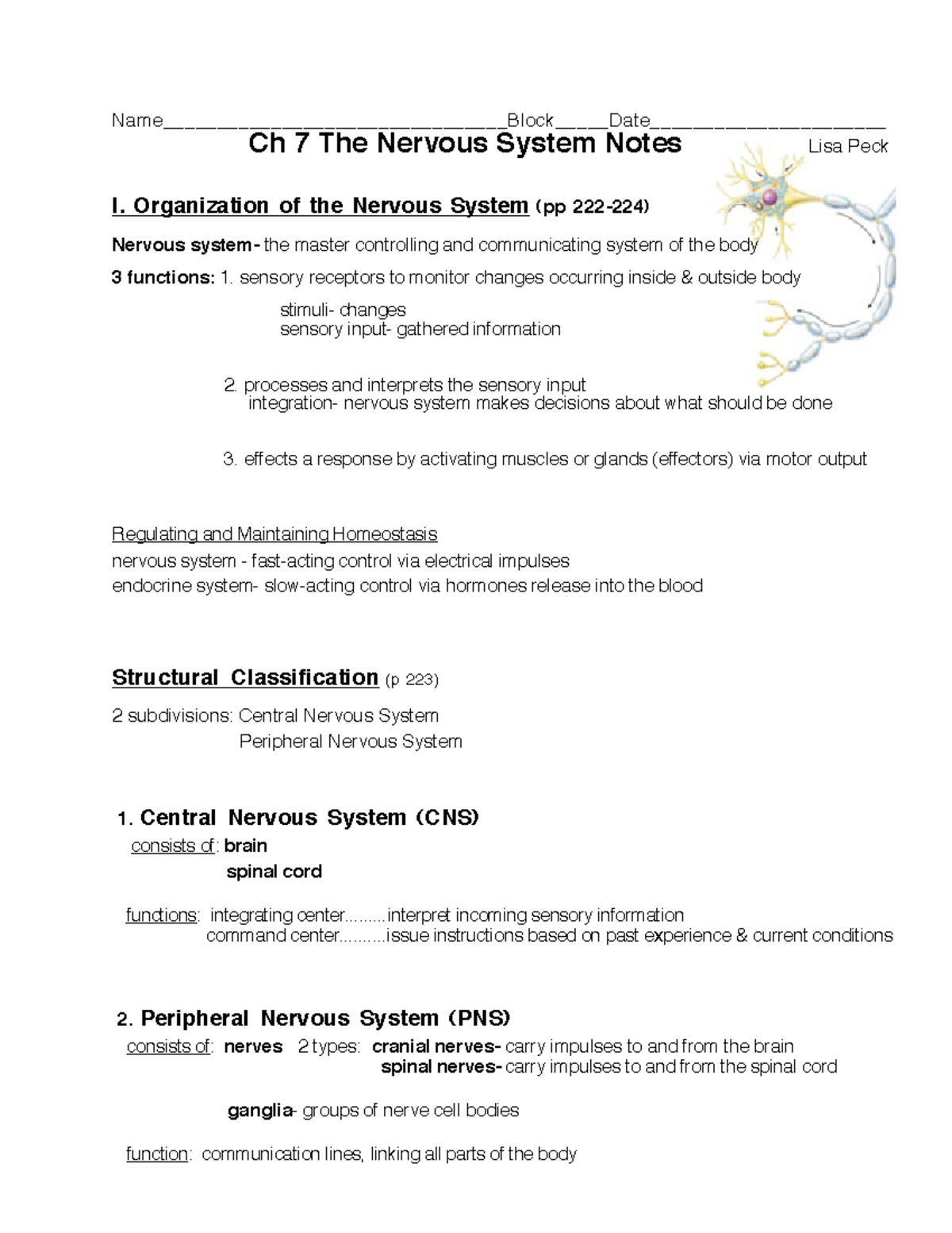 introduction to physiology: nervous system - Ch 7 The Nervous System ...