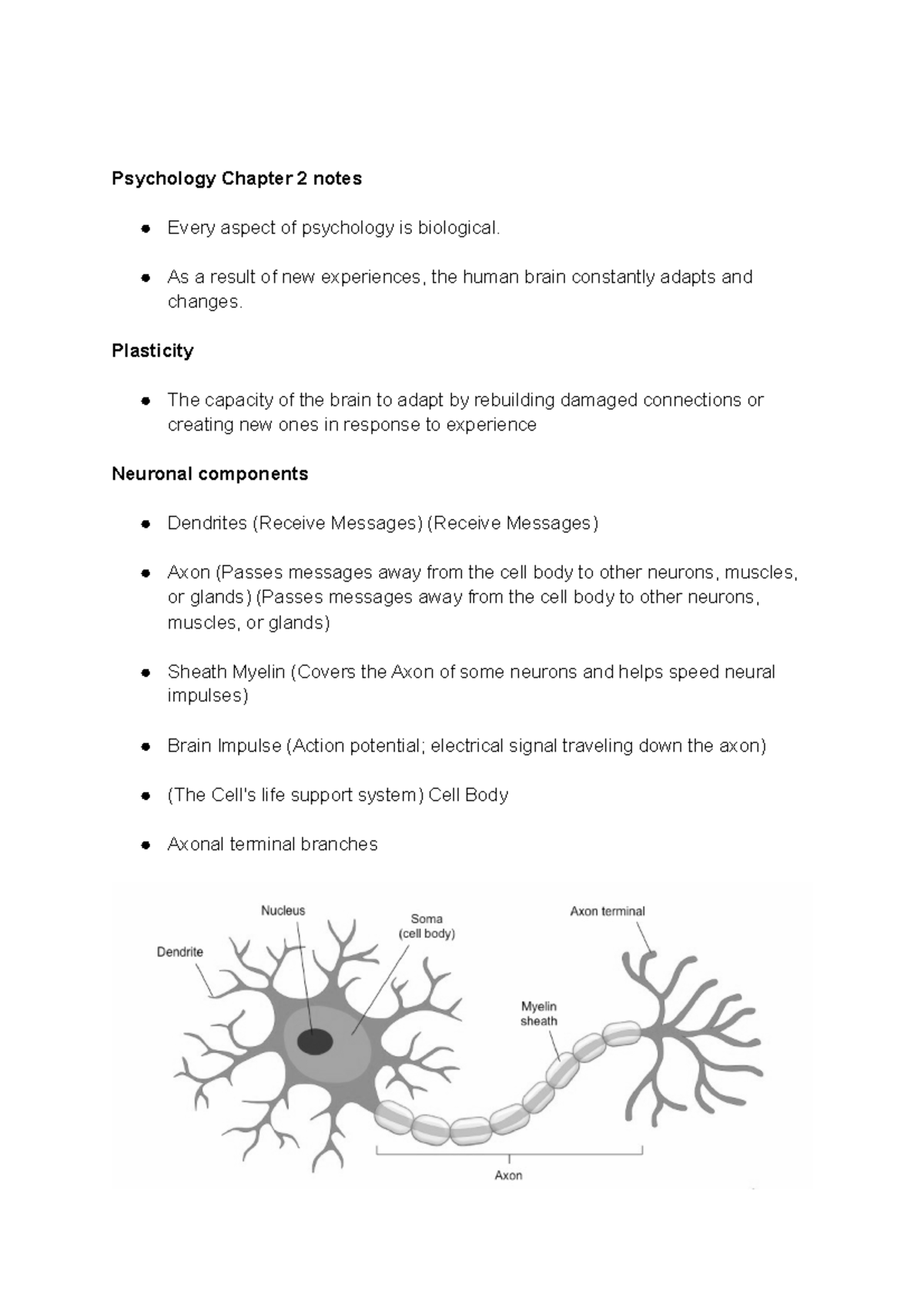 Psychology Chapter 2 Notes - Psychology Chapter 2 Notes Every Aspect Of ...