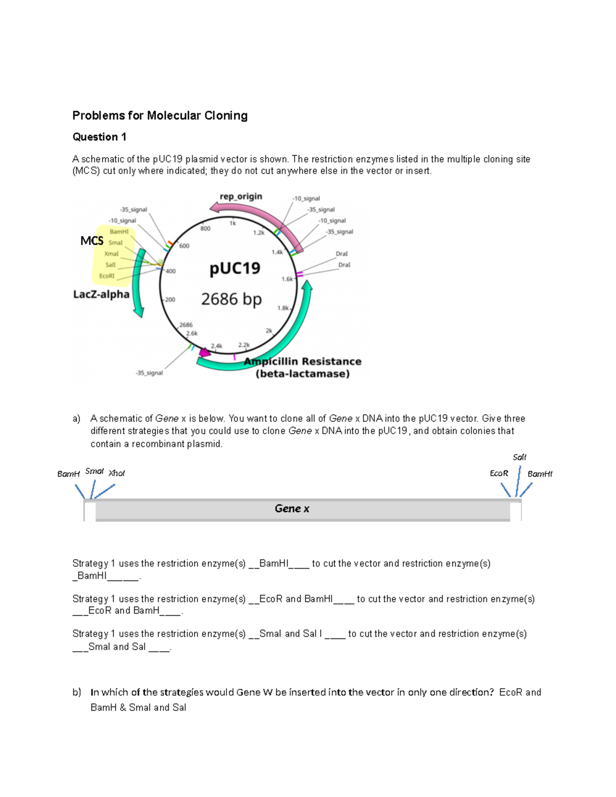 Cloning Homework dr g Problems for Molecular Cloning Question 1 A