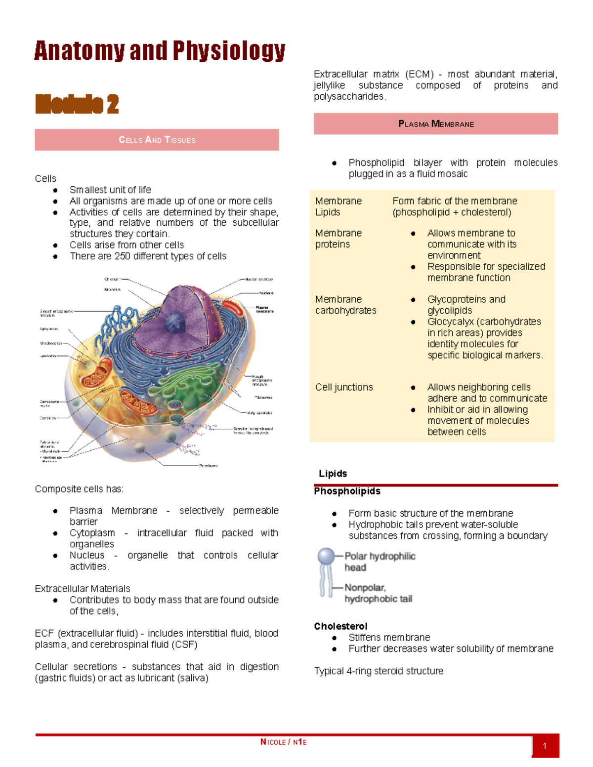 Anaphy MOD 2 AND 3 - Module 2 CELLS AND TISSUES Cells Smallest unit of ...