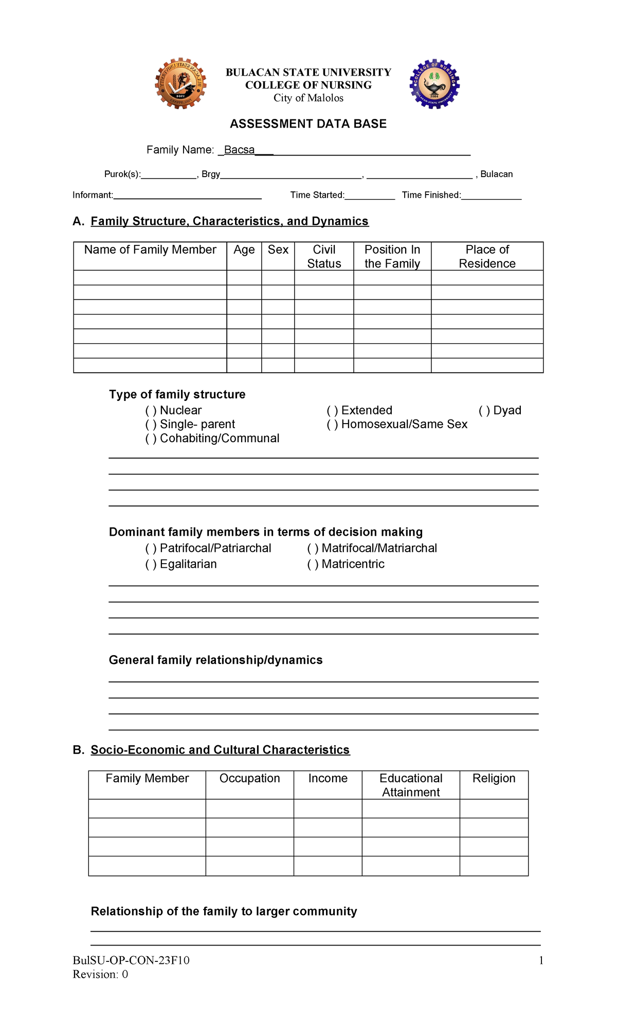Assessment-Data-Base Form doc file - BULACAN STATE UNIVERSITY COLLEGE ...