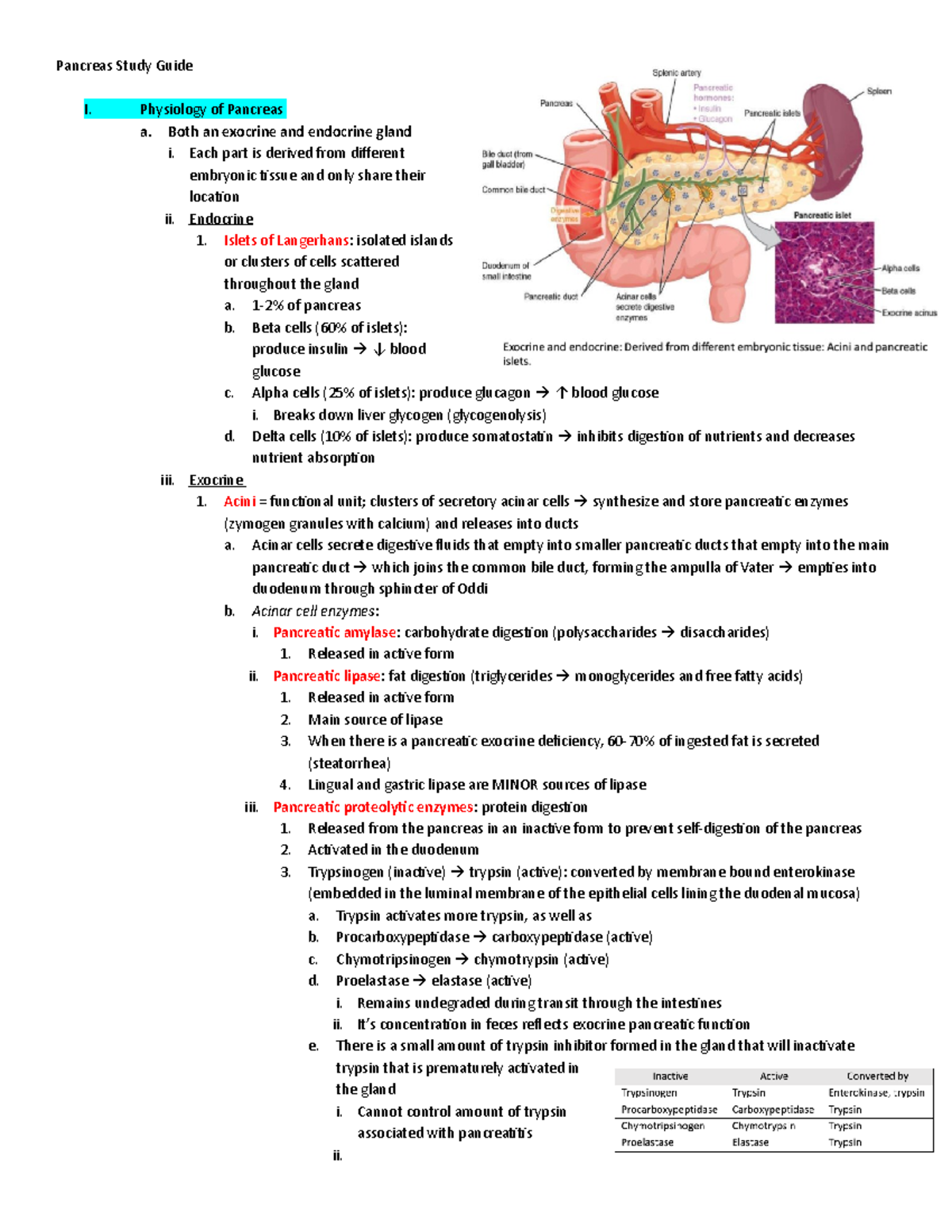 Pancreas Study Guide - Physiology of Pancreas a. Both an exocrine and ...