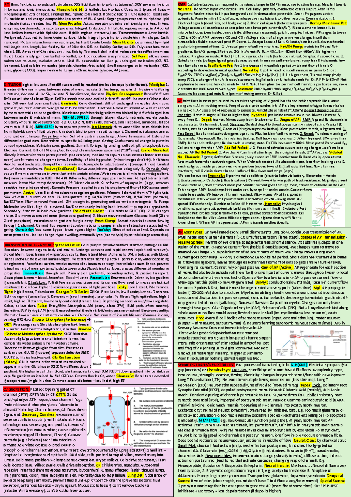 Exam Cheat Sheet Full - v v DIFFUSION high to low conc. Net diff occurs ...