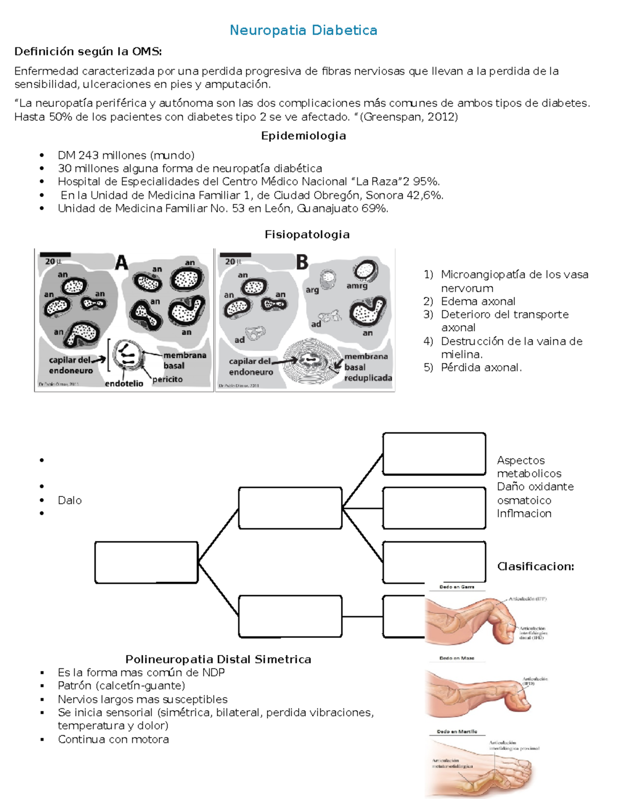 microangiopatía diabética y microangiopatía en diabetes microangiopatía diabética y microangiopatía en diabetes