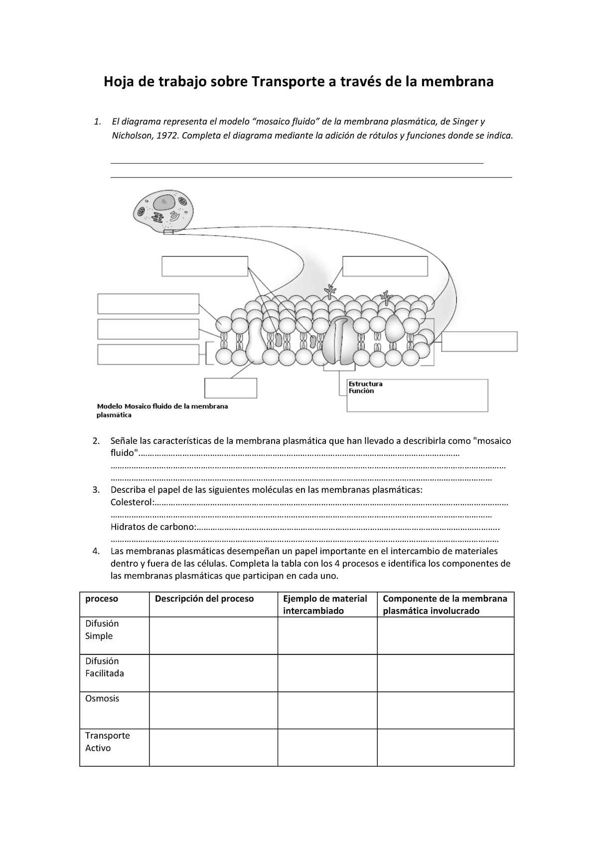 Trabajo de clase - tema 12 - 1. El diagrama representa el modelo “mosaico  fluido” de la membrana - Studocu