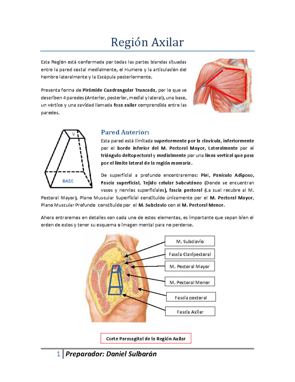 fascia axilar