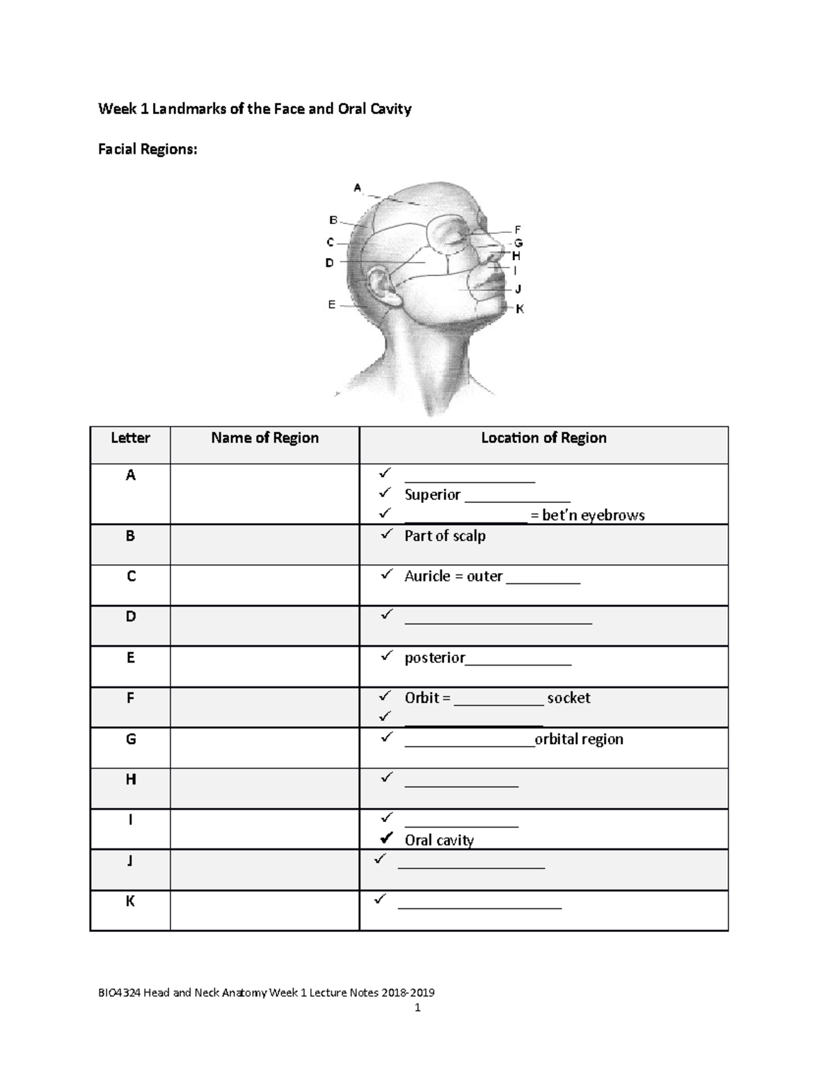 BIO4324 Week 1 student notes W19 - Week 1 Landmarks of the Face and ...