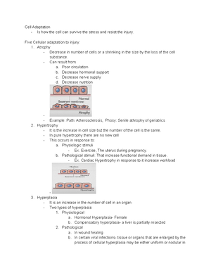 PARASITOLOGY NOTES-MEDTECH EDITION - Liwanag Notes ...