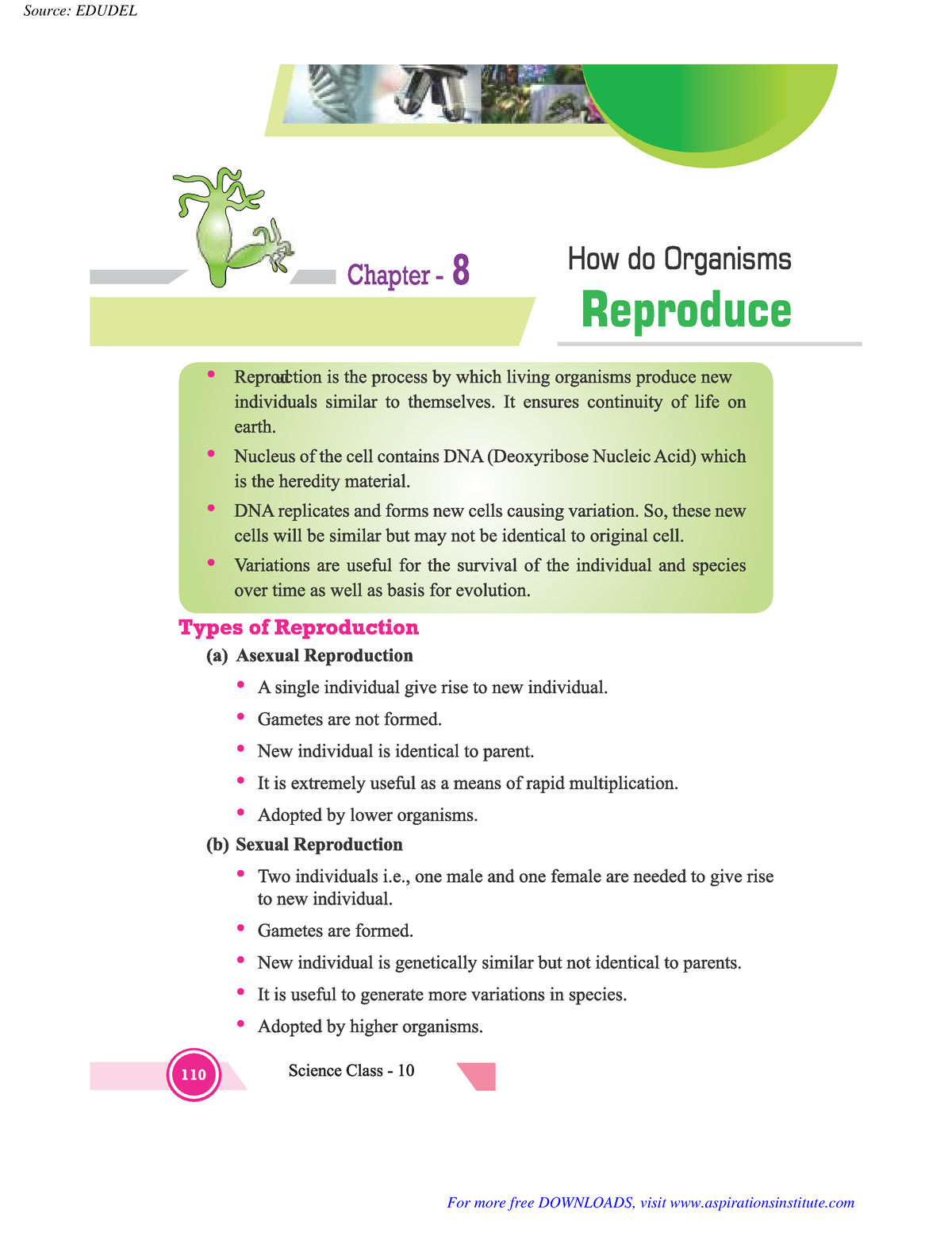 10 Sci How do Organisms Reproduce Notes - 110 Source: EDUDEL Binary ...