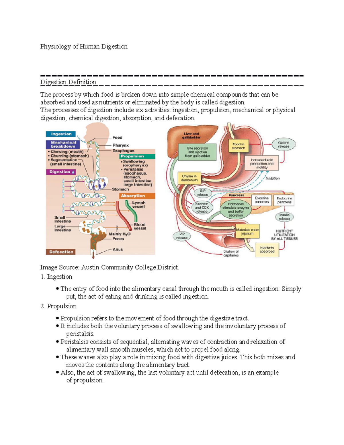 Physiology of Human Digestion Physiology of Human Digestion Digestion