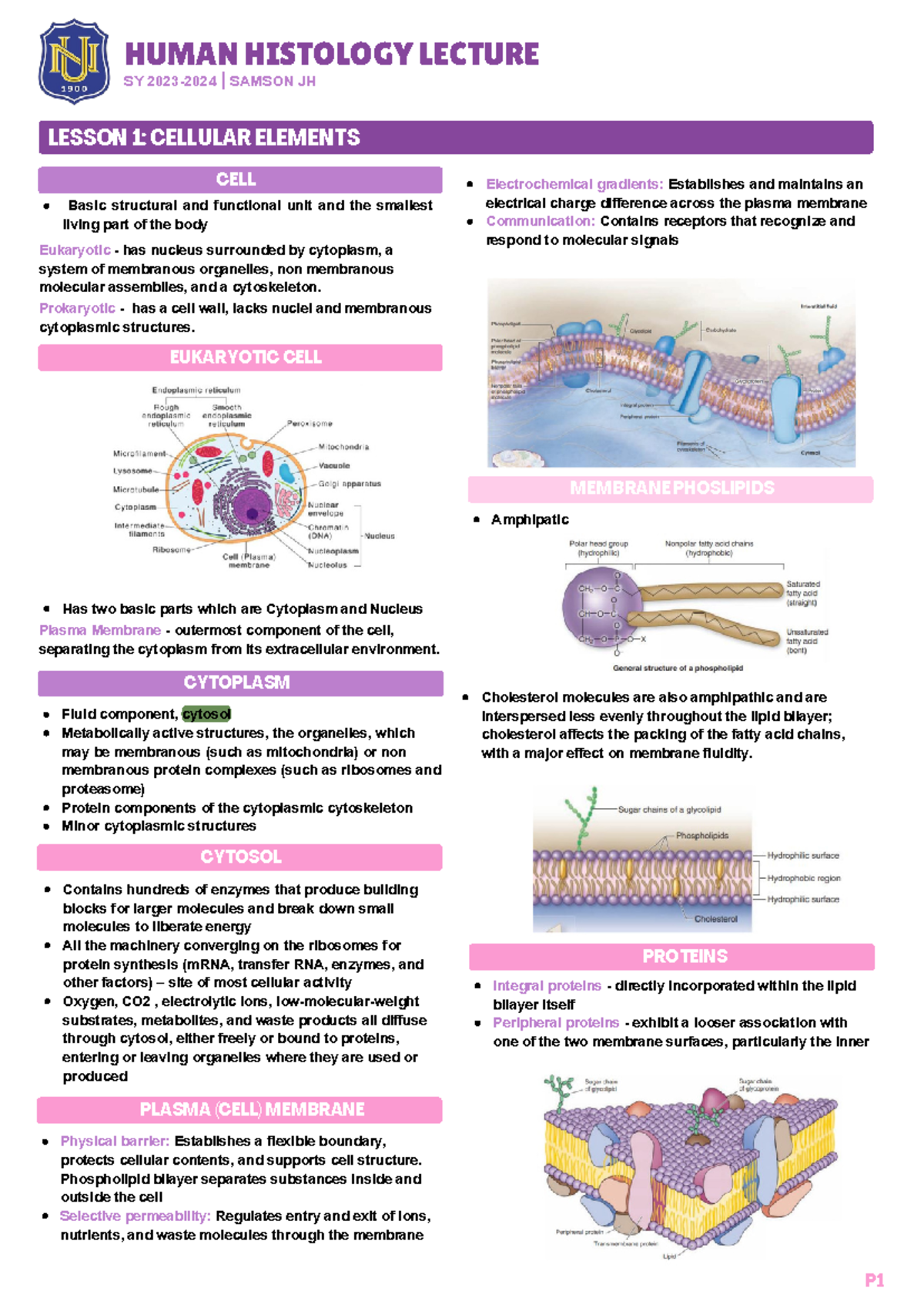 Cellular Elements - Histology - LESSON 1: CELLULAR ELEMENTS Basic ...