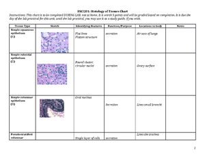 BSCI201 Lab 2 Tissues chart - For Lab practical- 1 function & 1 ...