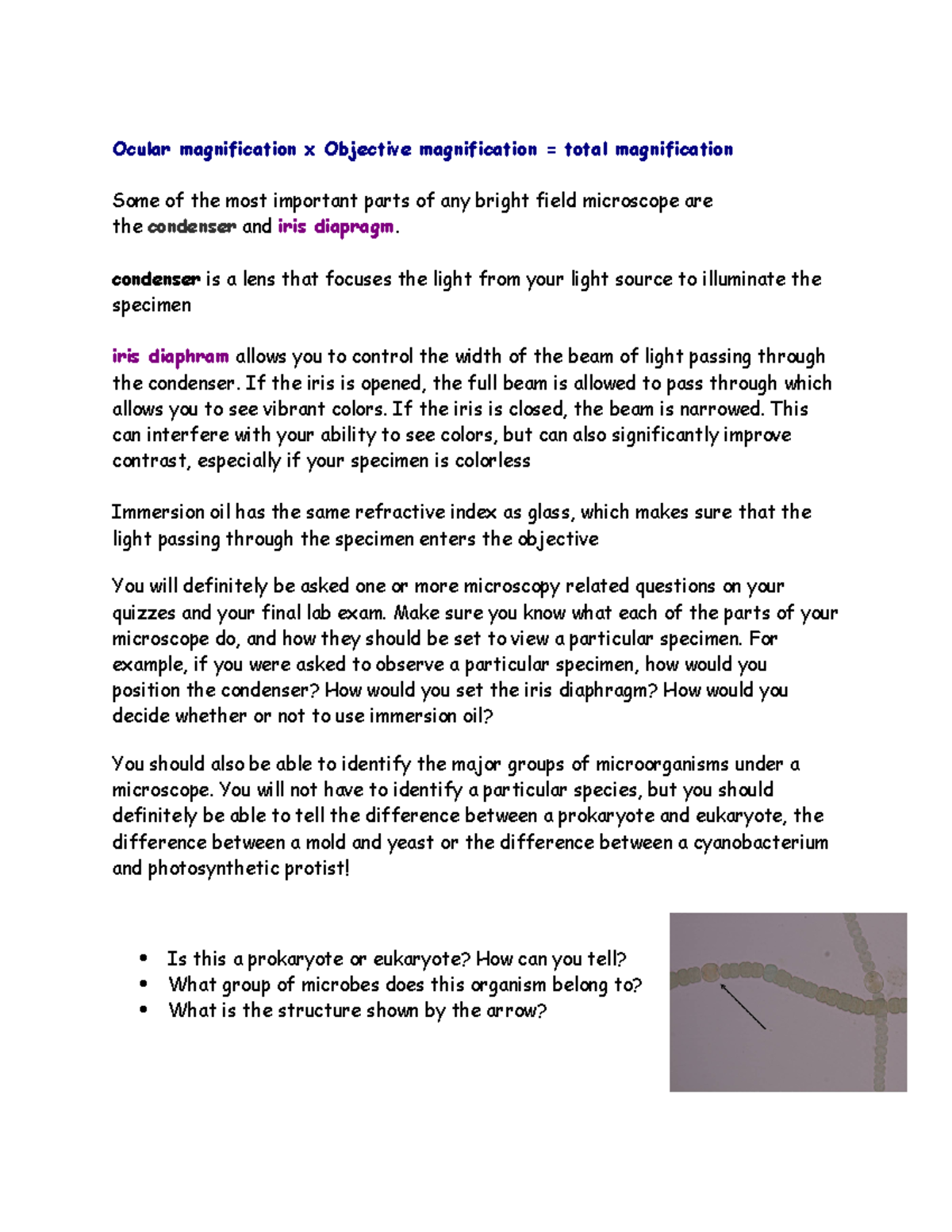 Lab exam notes Ocular magnification x Objective magnification = total