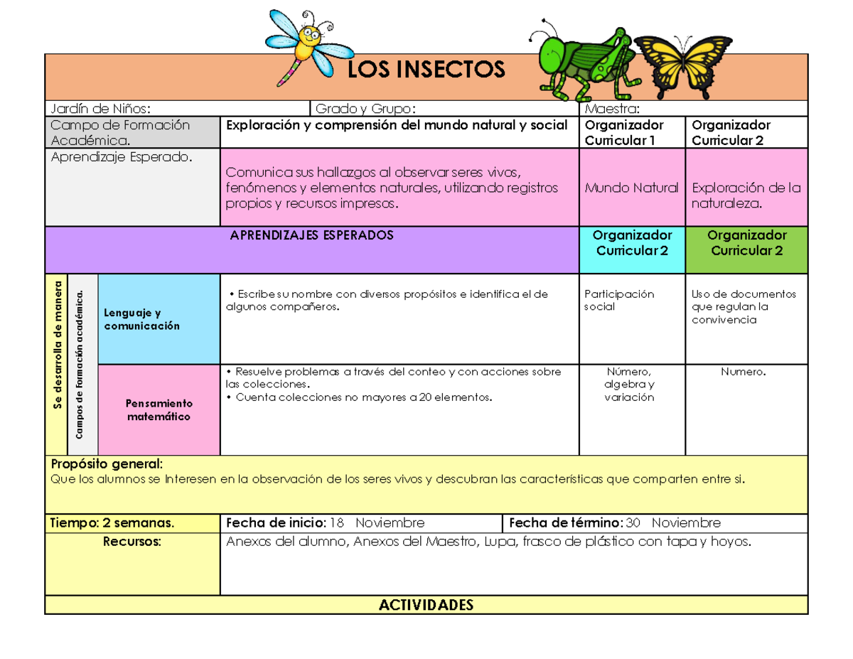 LOS Insectos' contigo - LOS INSECTOS Jardín de Niños: Grado y Grupo ...