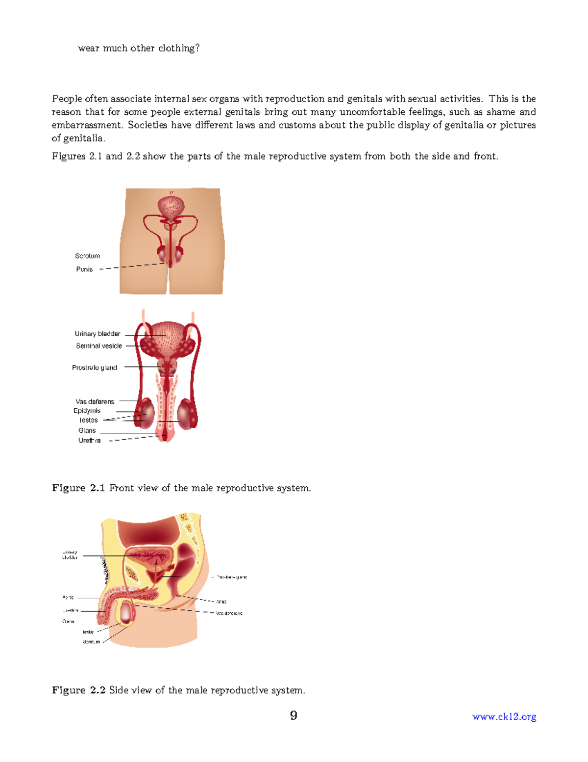 Human biology reproduction | 3 - wear much other clothing? People often ...