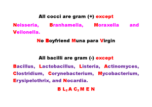 Pharmacology Activity No. 4 - Common Abbreviations in Medication ... - Basic Germ Therapy Terms Standard
