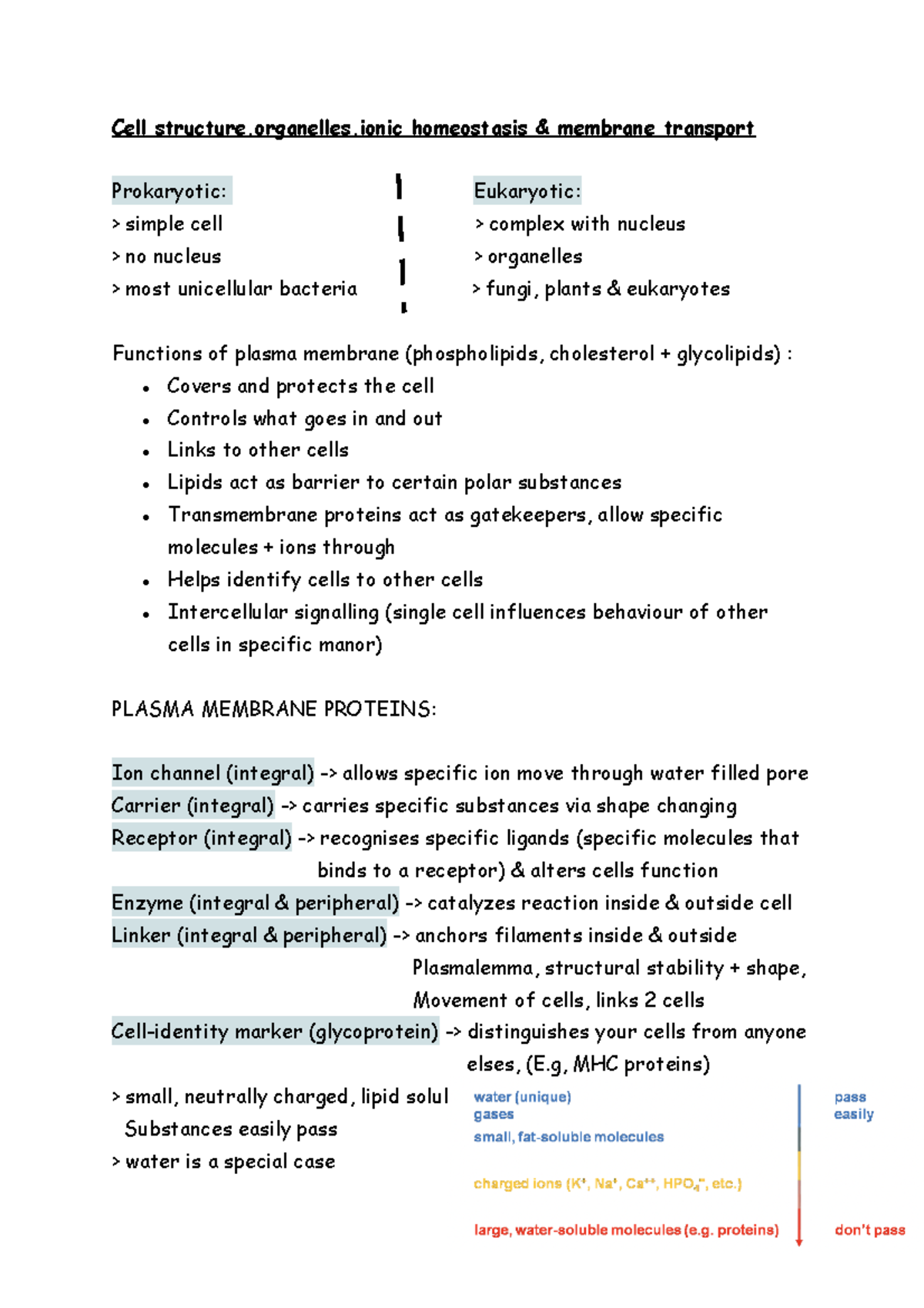 CS & ionic homeostasis year 1 - Port - Studocu