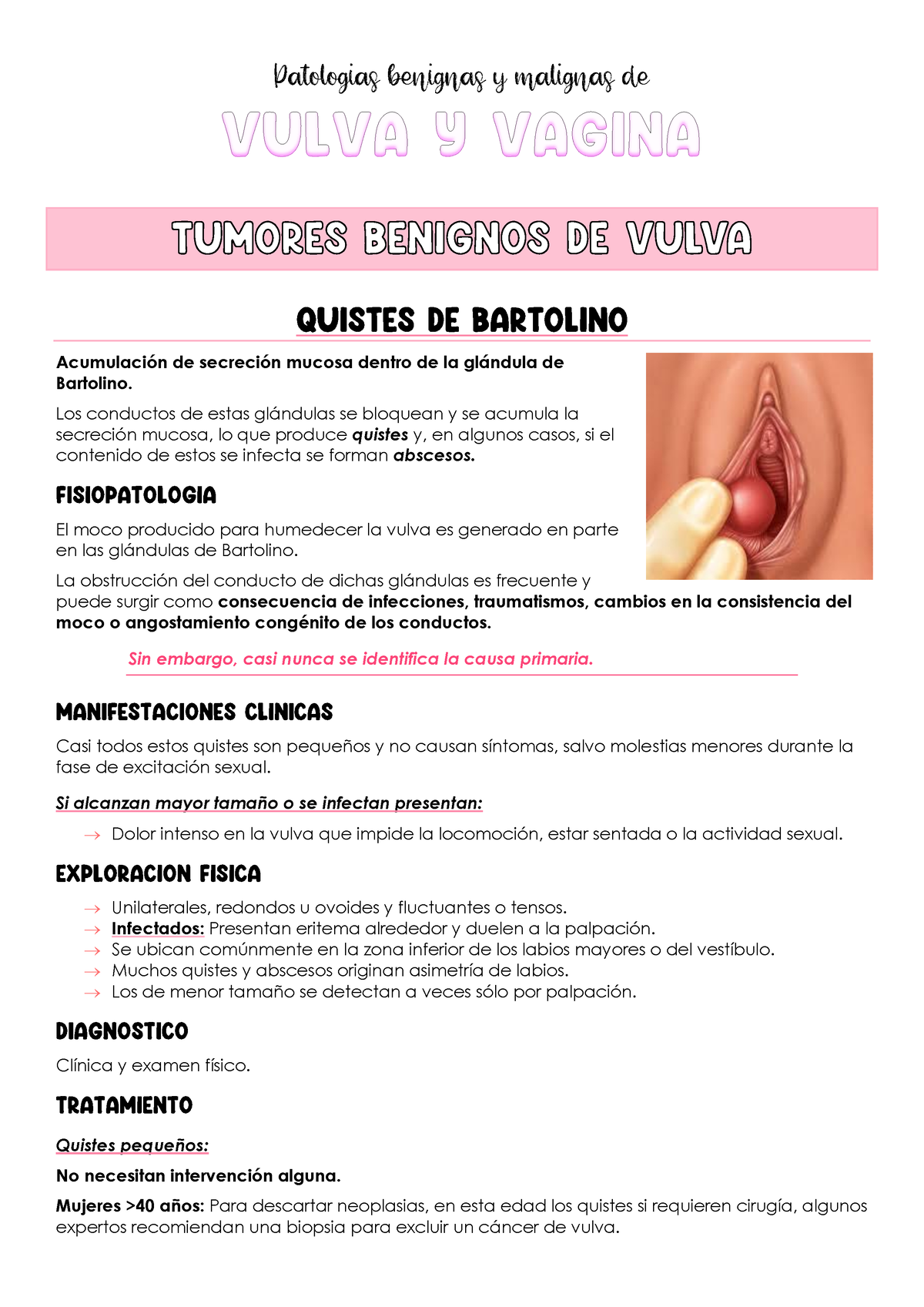 Enfermedades Benigna de La Vulva, PDF, Menstruación
