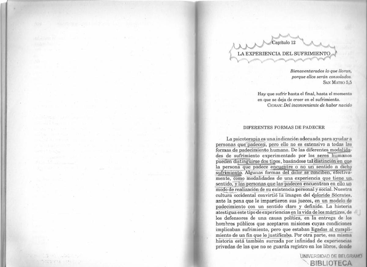 Fernandez Alvarez, Fundamentos de un modelo integrativo en psicoterapia