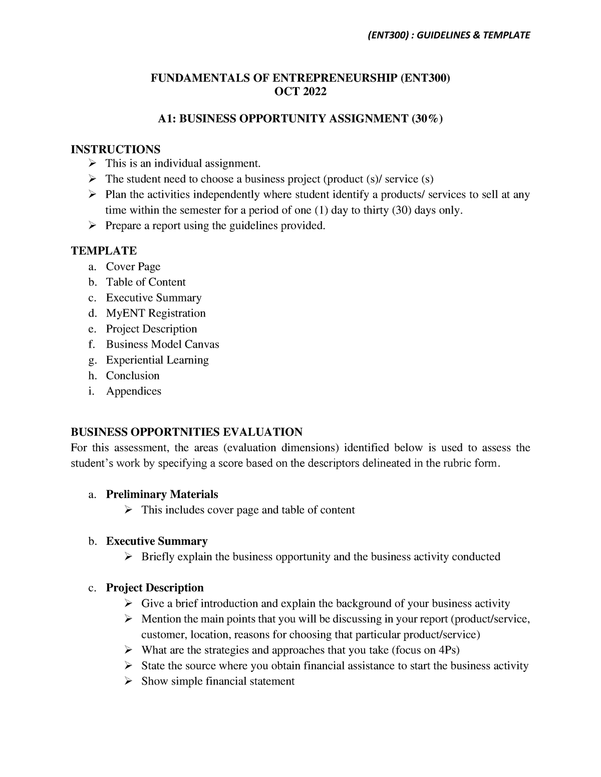 ent300 business plan individual assignment