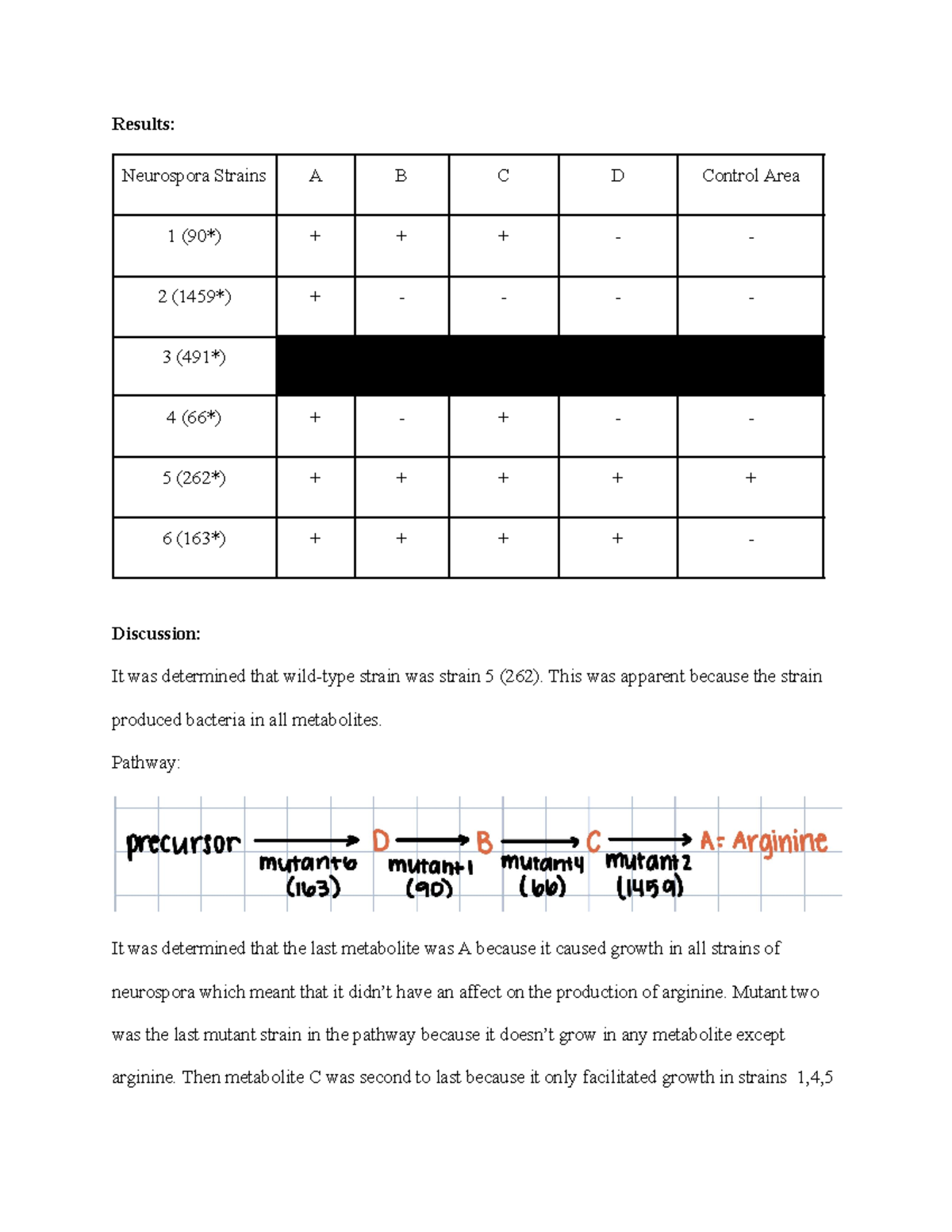 Metabolic Pathway Lab Report - Results: Neurospora Strains A B C D ...